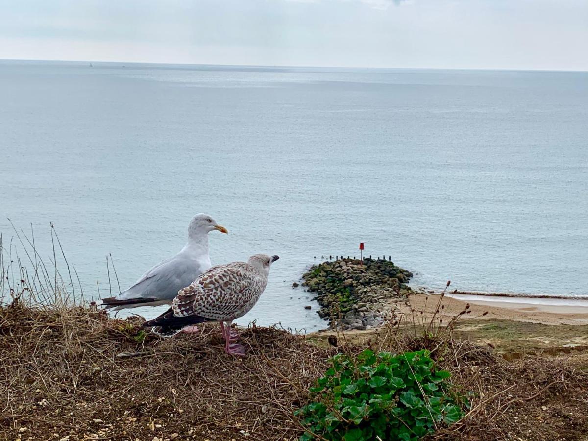 Shorefield Country Park, Where The New Forest Meets The Sea, Passes For All Entertainment Included Milford on Sea Exterior foto