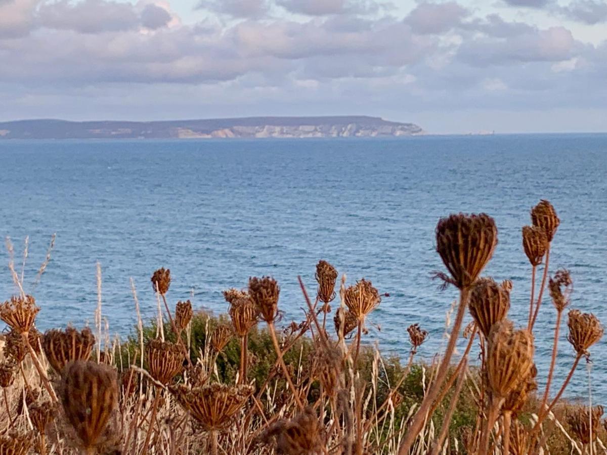 Shorefield Country Park, Where The New Forest Meets The Sea, Passes For All Entertainment Included Milford on Sea Exterior foto