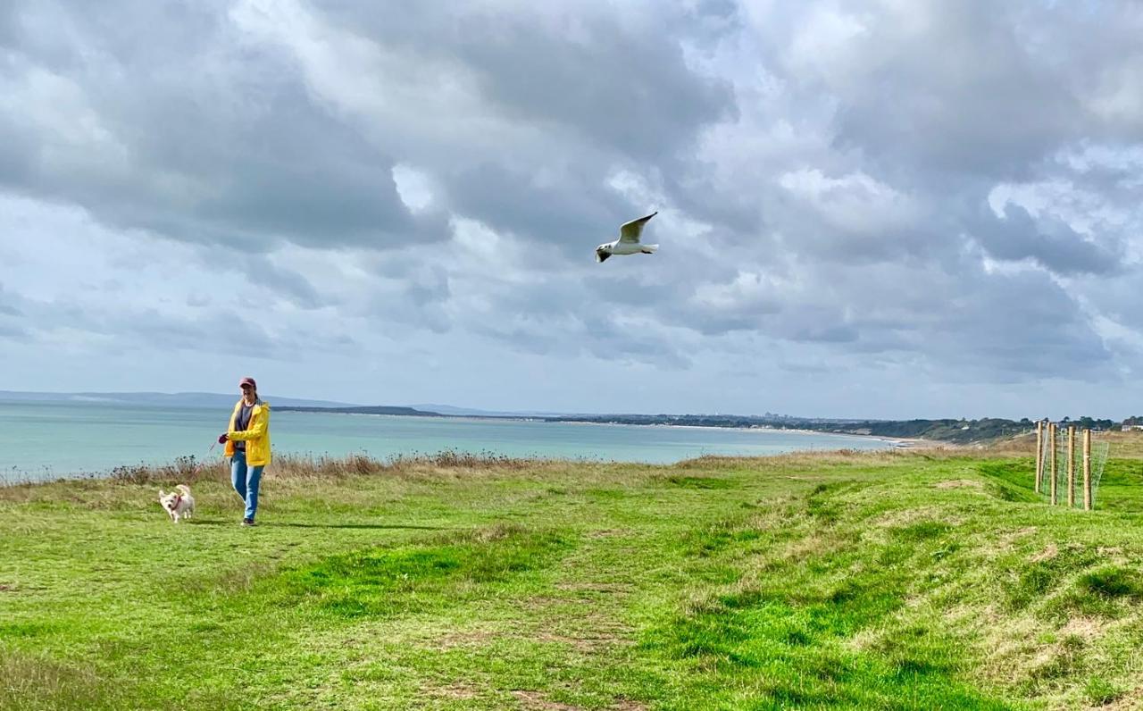 Shorefield Country Park, Where The New Forest Meets The Sea, Passes For All Entertainment Included Milford on Sea Exterior foto